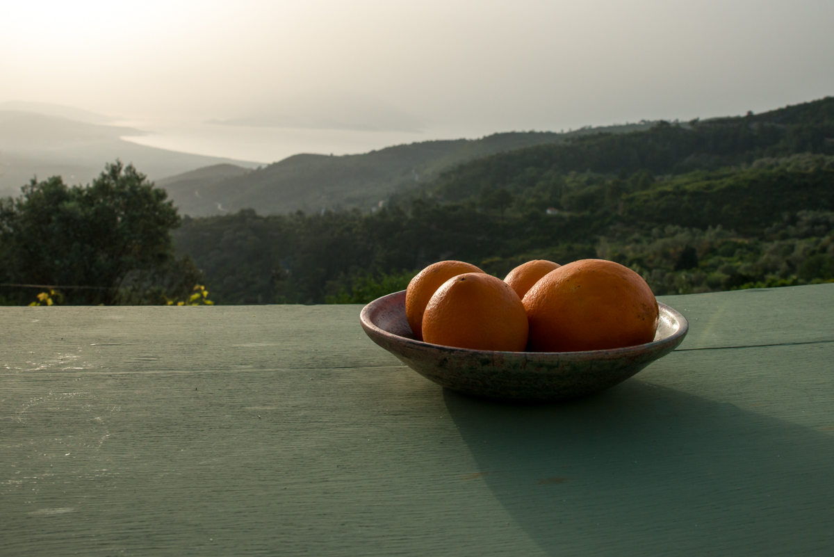 20160515 DSC_6371-Bearbeitet